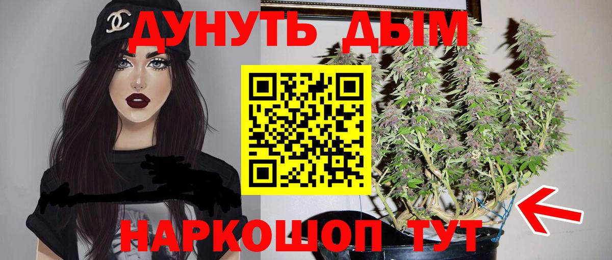 Краснодар  Канабис THC 21%  Вход с VPN  Бошки марихуана THC 21% 